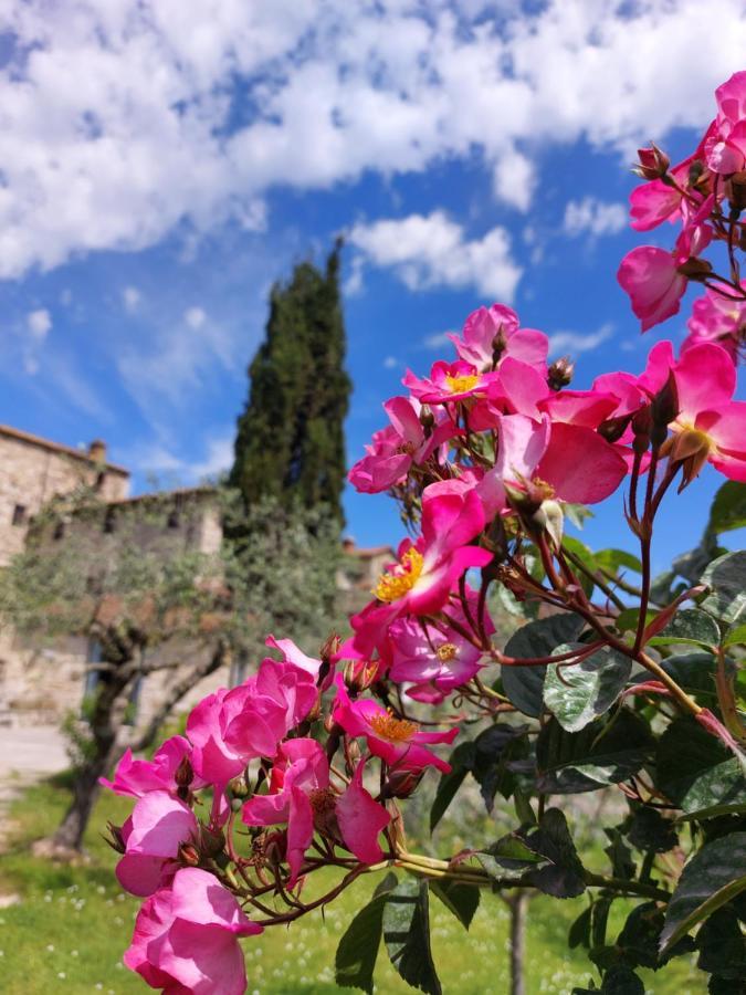 Agriturismo San Sano Villa Gaiole in Chianti Bagian luar foto